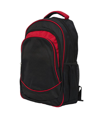ProTech Executive Laptop Backpack