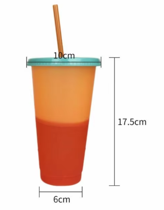 700ml ColourShift Tumbler