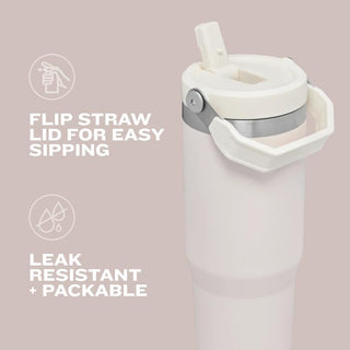 Stanley IceFlow Flip Straw Tumbler with Handle 20 oz | Twist On Lid and Flip Up Straw | Leak Resistant Water Bottle | Insulated Stainless Steel |BPA-Free | Pomelo