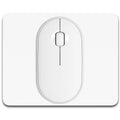 Ivory White