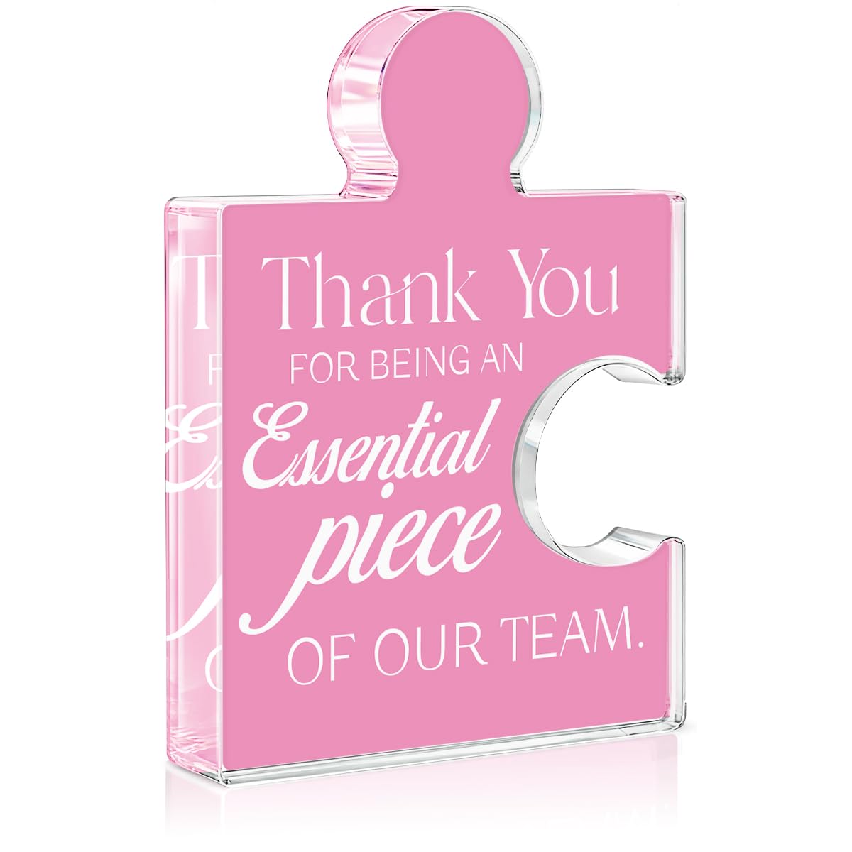 Team Appreciation Gifts Thank You Gift for Coworkers Colleagues Employees, Best Team Ever Gifts You Are an Essential Piece Acrylic Puzzle Piece Plaque Office Decor