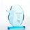 Blue Oval Custom Logo