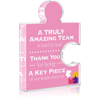 Team Appreciation Gifts Thank You Gift for Coworkers Colleagues Employees, Best Team Ever Gifts You Are an Essential Piece Acrylic Puzzle Piece Plaque Office Decor