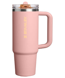 STANLEY Quencher ProTour Flip Straw Tumbler with Leakproof Lid 30 oz | Built-in Straw and Handle | Cup Holder Compatible for Travel | insulated Stainless Steel Cup | BPA-Free | Twilight VRT