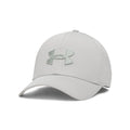 (069) Titanium / / Clay Green