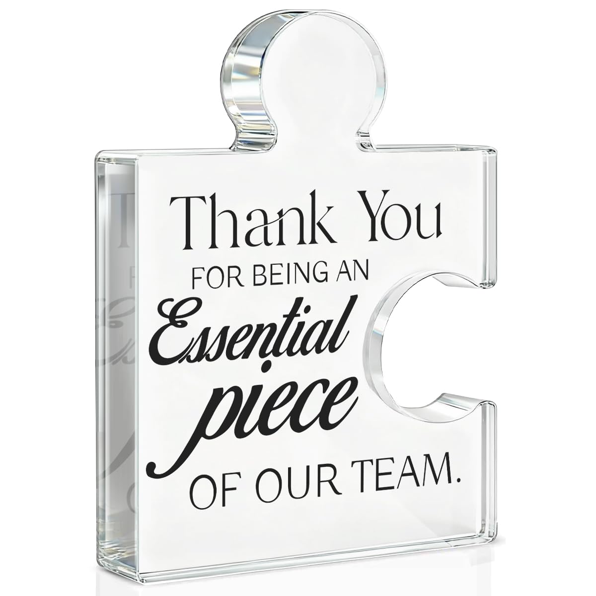 Team Appreciation Gifts Thank You Gift for Coworkers Colleagues Employees, Best Team Ever Gifts You Are an Essential Piece Acrylic Puzzle Piece Plaque Office Decor