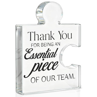 Team Appreciation Gifts Thank You Gift for Coworkers Colleagues Employees, Best Team Ever Gifts You Are an Essential Piece Acrylic Puzzle Piece Plaque Office Decor