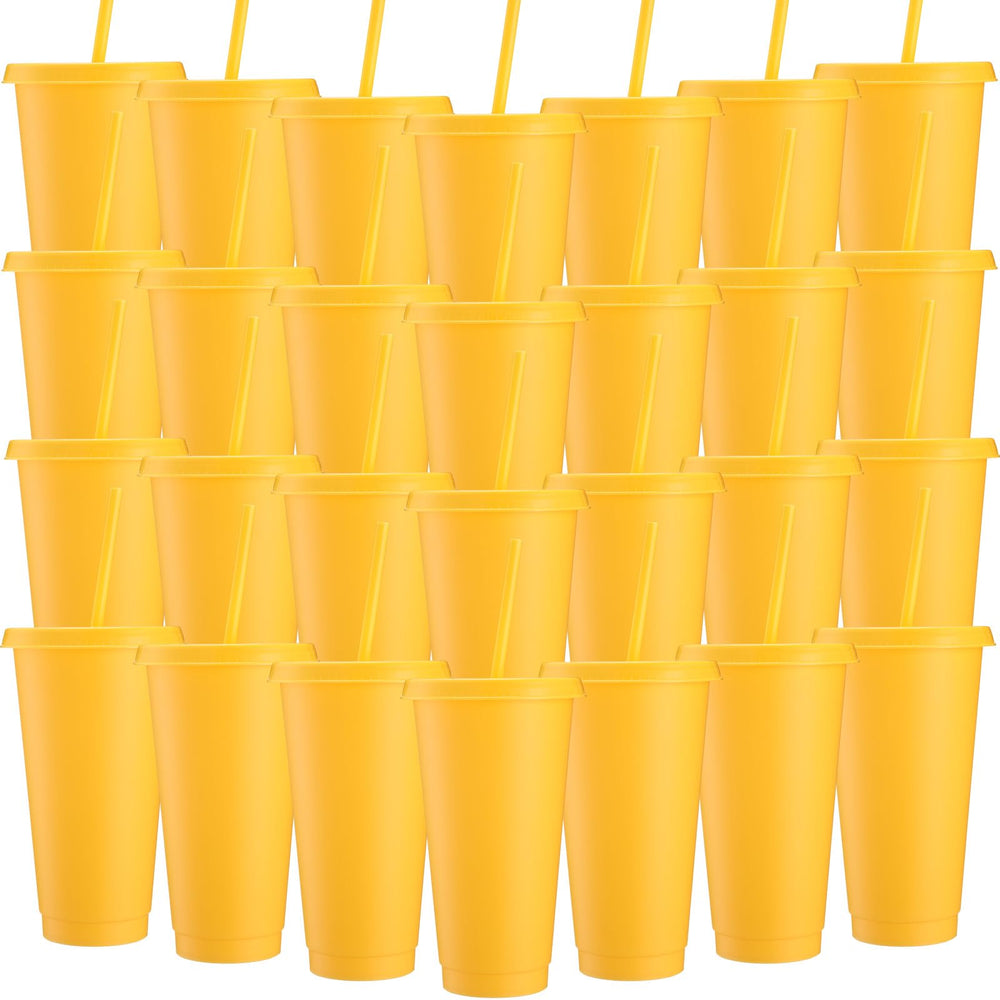 Honeydak 15 Pack Tumbler with Straw and Lid Bulk Cups for Gifts Water Bottle Iced Coffee Travel Mug Cup Reusable Plastic Tumblers for Party Birthdays 24-27 oz (Solid Color)