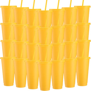 Honeydak 15 Pack Tumbler with Straw and Lid Bulk Cups for Gifts Water Bottle Iced Coffee Travel Mug Cup Reusable Plastic Tumblers for Party Birthdays 24-27 oz (Solid Color)