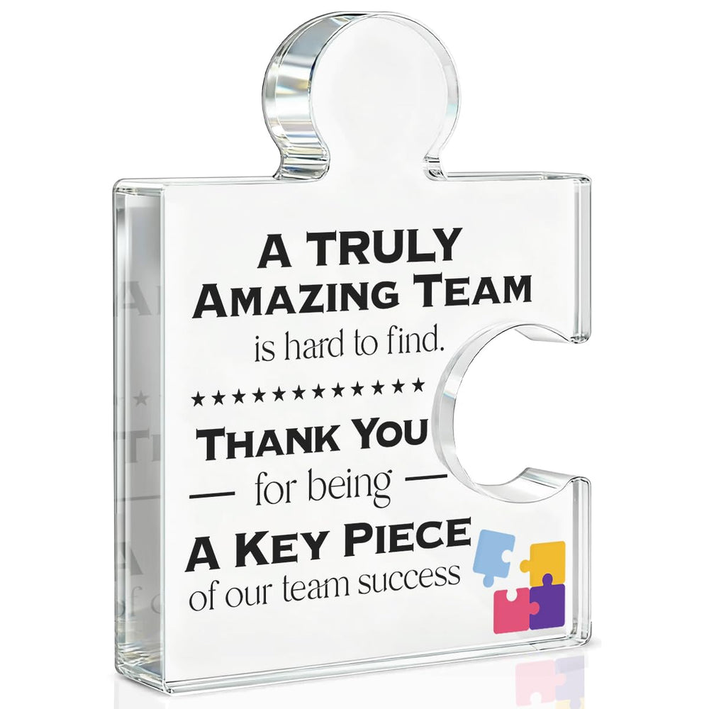Team Appreciation Gifts Thank You Gift for Coworkers Colleagues Employees, Best Team Ever Gifts You Are an Essential Piece Acrylic Puzzle Piece Plaque Office Decor