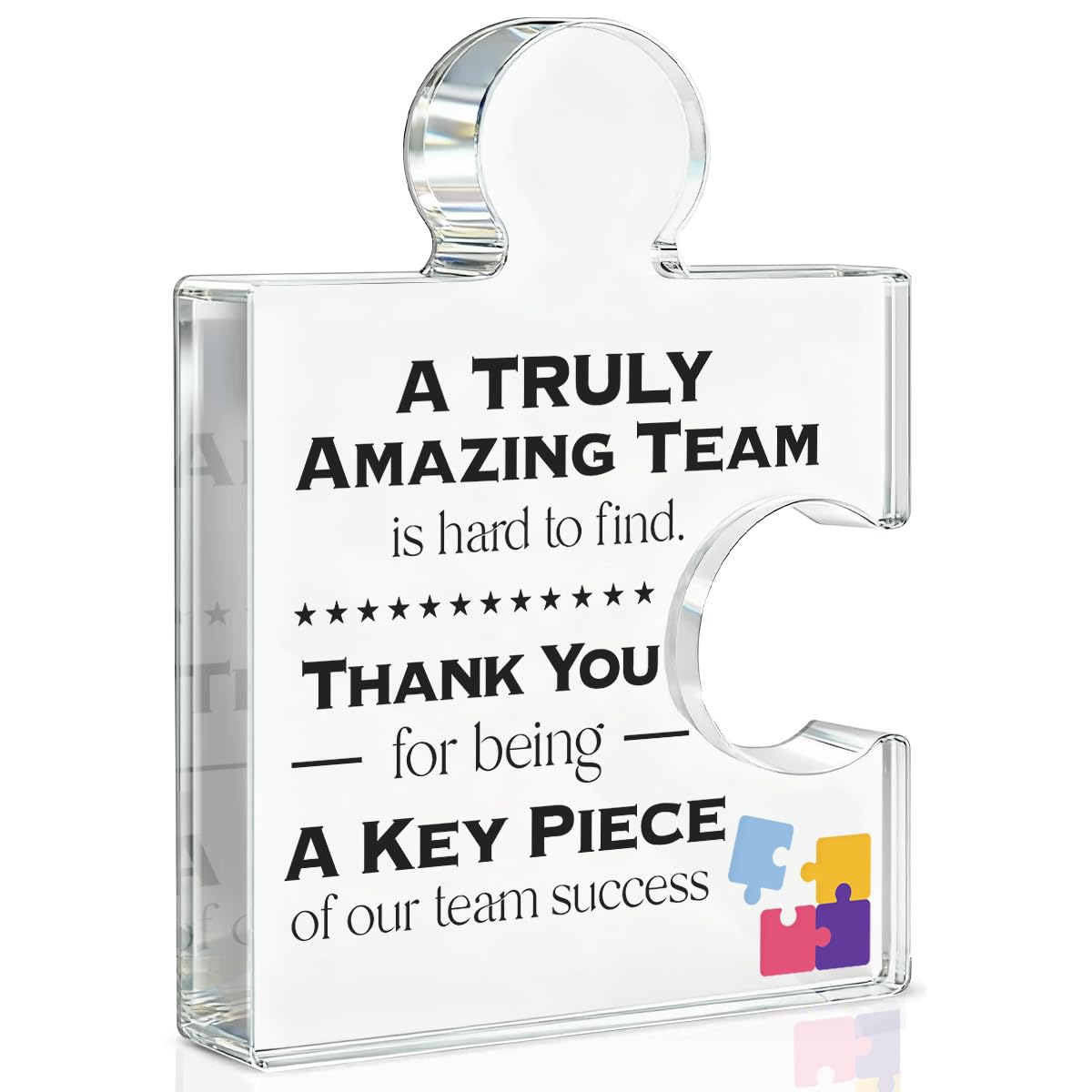 Team Appreciation Gifts Thank You Gift for Coworkers Colleagues Employees, Best Team Ever Gifts You Are an Essential Piece Acrylic Puzzle Piece Plaque Office Decor