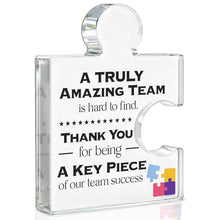 Team Appreciation Gifts Thank You Gift for Coworkers Colleagues Employees, Best Team Ever Gifts You Are an Essential Piece Acrylic Puzzle Piece Plaque Office Decor