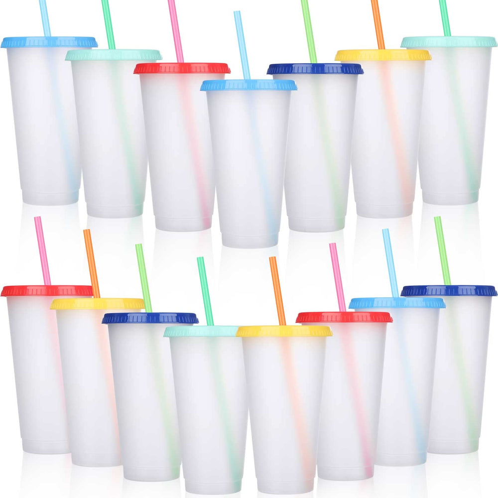 Honeydak 15 Pack Tumbler with Straw and Lid Bulk Cups for Gifts Water Bottle Iced Coffee Travel Mug Cup Reusable Plastic Tumblers for Party Birthdays 24-27 oz (Solid Color)