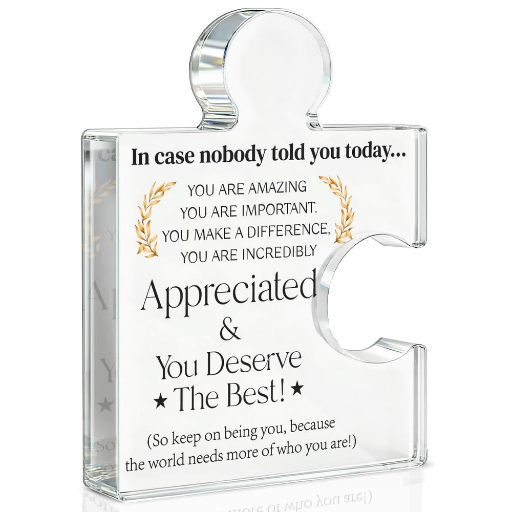 Team Appreciation Gifts Thank You Gift for Coworkers Colleagues Employees, Best Team Ever Gifts You Are an Essential Piece Acrylic Puzzle Piece Plaque Office Decor