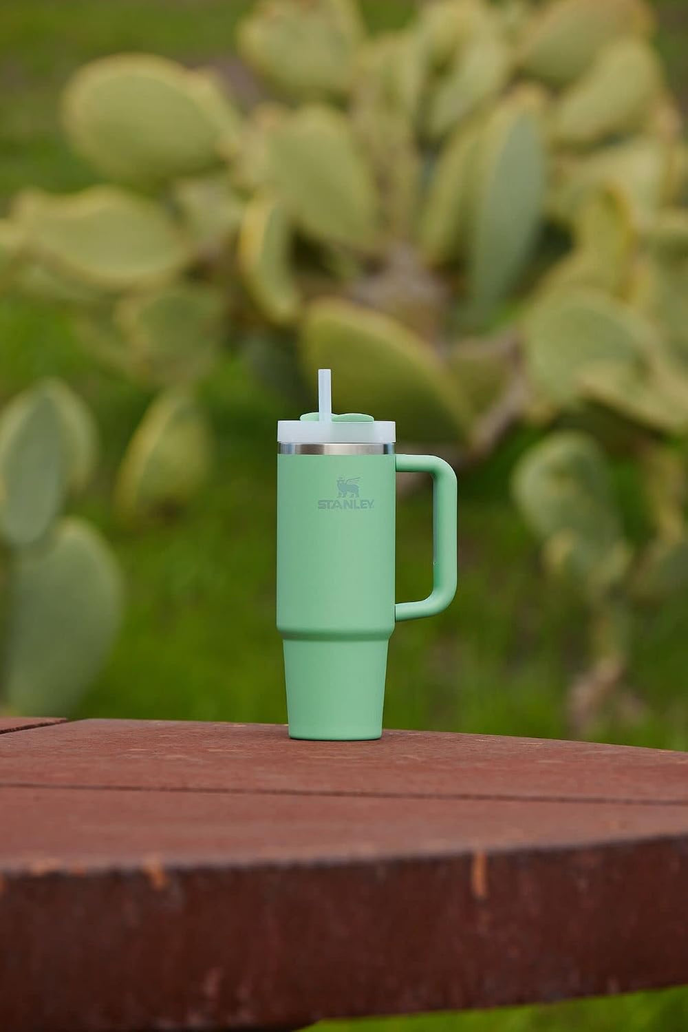 STANLEY Quencher H2.0 Tumbler with Straw 30 oz | Flowstate 3-Position Lid | Cup Holder Compatible for Travel | Insulated Stainless Steel Cup | BPA-Free | Jade