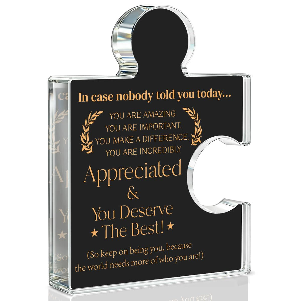 Team Appreciation Gifts Thank You Gift for Coworkers Colleagues Employees, Best Team Ever Gifts You Are an Essential Piece Acrylic Puzzle Piece Plaque Office Decor