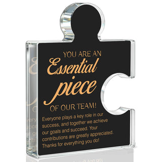 Team Appreciation Gifts Thank You Gift for Coworkers Colleagues Employees, Best Team Ever Gifts You Are an Essential Piece Acrylic Puzzle Piece Plaque Office Decor