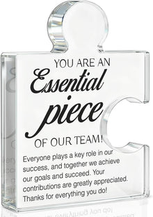 Team Appreciation Gifts Thank You Gift for Coworkers Colleagues Employees, Best Team Ever Gifts You Are an Essential Piece Acrylic Puzzle Piece Plaque Office Decor