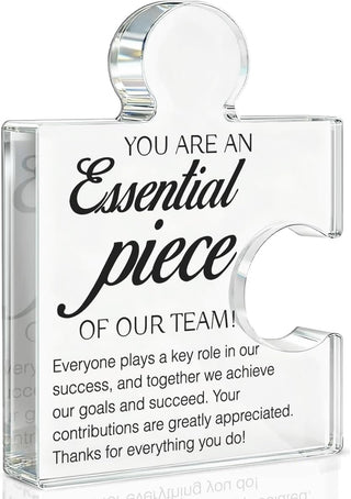Team Appreciation Gifts Thank You Gift for Coworkers Colleagues Employees, Best Team Ever Gifts You Are an Essential Piece Acrylic Puzzle Piece Plaque Office Decor