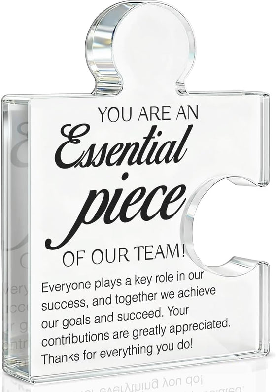 Team Appreciation Gifts Thank You Gift for Coworkers Colleagues Employees, Best Team Ever Gifts You Are an Essential Piece Acrylic Puzzle Piece Plaque Office Decor