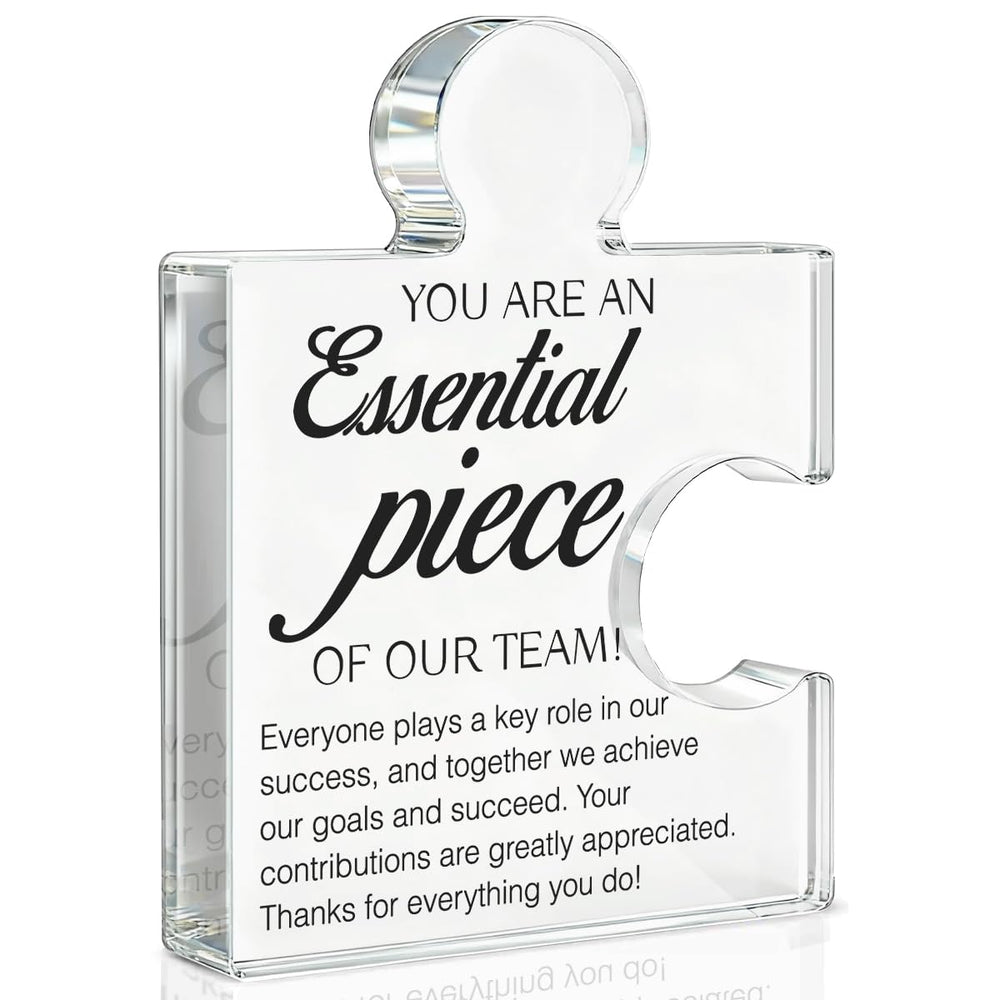 Team Appreciation Gifts Thank You Gift for Coworkers Colleagues Employees, Best Team Ever Gifts You Are an Essential Piece Acrylic Puzzle Piece Plaque Office Decor
