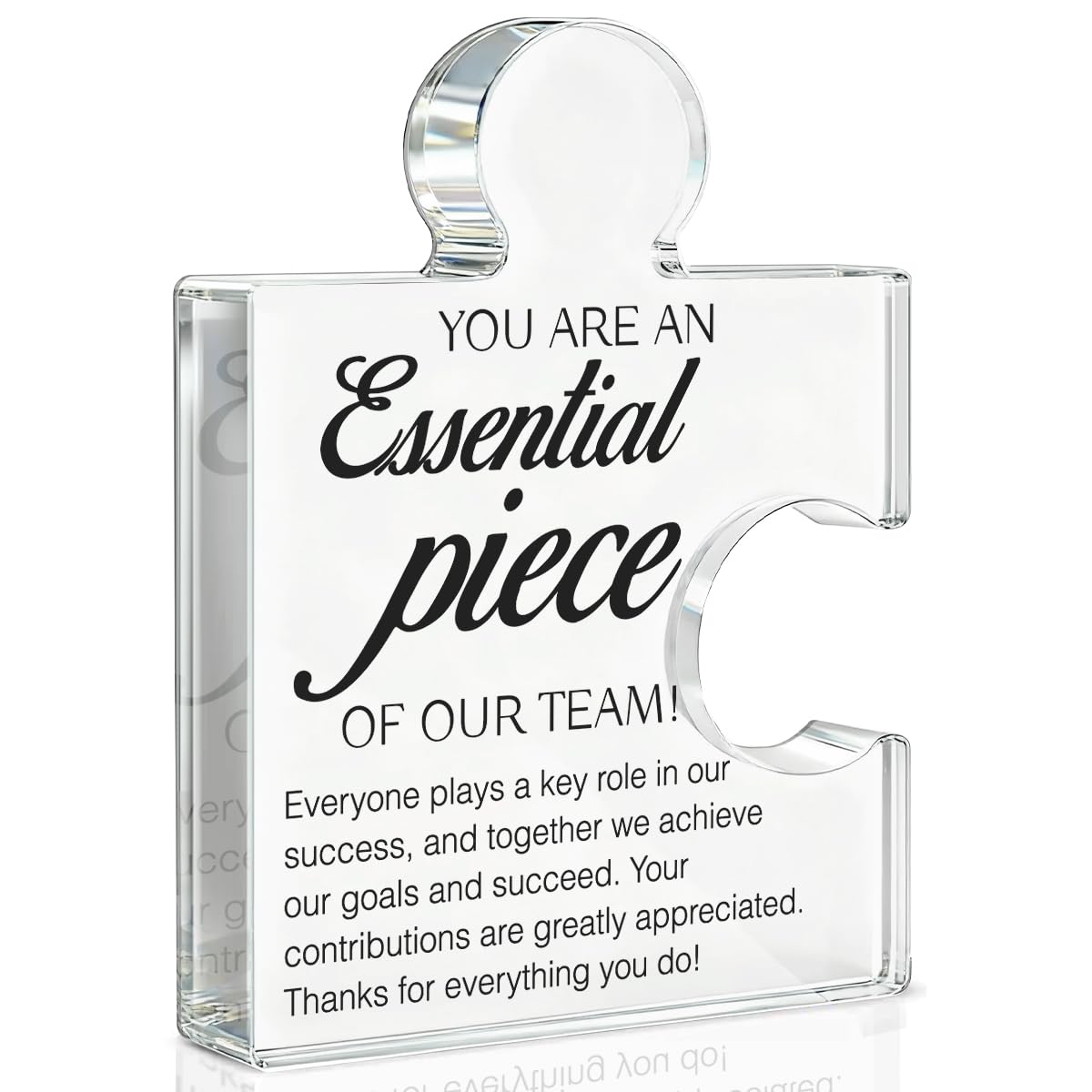 Team Appreciation Gifts Thank You Gift for Coworkers Colleagues Employees, Best Team Ever Gifts You Are an Essential Piece Acrylic Puzzle Piece Plaque Office Decor