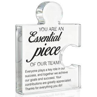 Team Appreciation Gifts Thank You Gift for Coworkers Colleagues Employees, Best Team Ever Gifts You Are an Essential Piece Acrylic Puzzle Piece Plaque Office Decor
