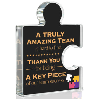 Team Appreciation Gifts Thank You Gift for Coworkers Colleagues Employees, Best Team Ever Gifts You Are an Essential Piece Acrylic Puzzle Piece Plaque Office Decor