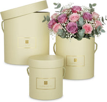 Hollyone Ivory Gift Box with Lids Set of 3 Round Nesting Gift Boxes for Presents 3 Assorted Sizes Flowers Arrangements Box for Gift Giving Christmas Valentine Thanksgiving Mom Gifts Present Wrapping