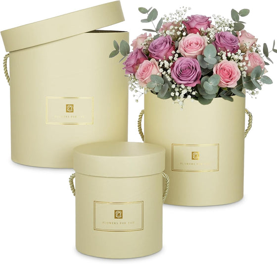 Hollyone Ivory Gift Box with Lids Set of 3 Round Nesting Gift Boxes for Presents 3 Assorted Sizes Flowers Arrangements Box for Gift Giving Christmas Valentine Thanksgiving Mom Gifts Present Wrapping