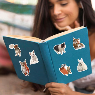 Cat Meme Stickers, Funny Cat Stickers for Journaling Adults Kawaii,Cute Waterproof Vinyl Sticker for Water Bottles Laptops 50Pcs