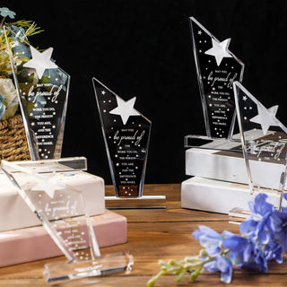 Bucherry 10 Pcs Employee Appreciation Awards for Coworker Acrylic Thank You Trophy May You Be Proud of The Work You Do Sign Prizes Retirement Goodbye Farewell Gift for Women Men(Stylish)