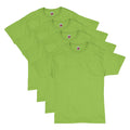 Lime - 4 Pack