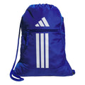 Team Royal Blue/3