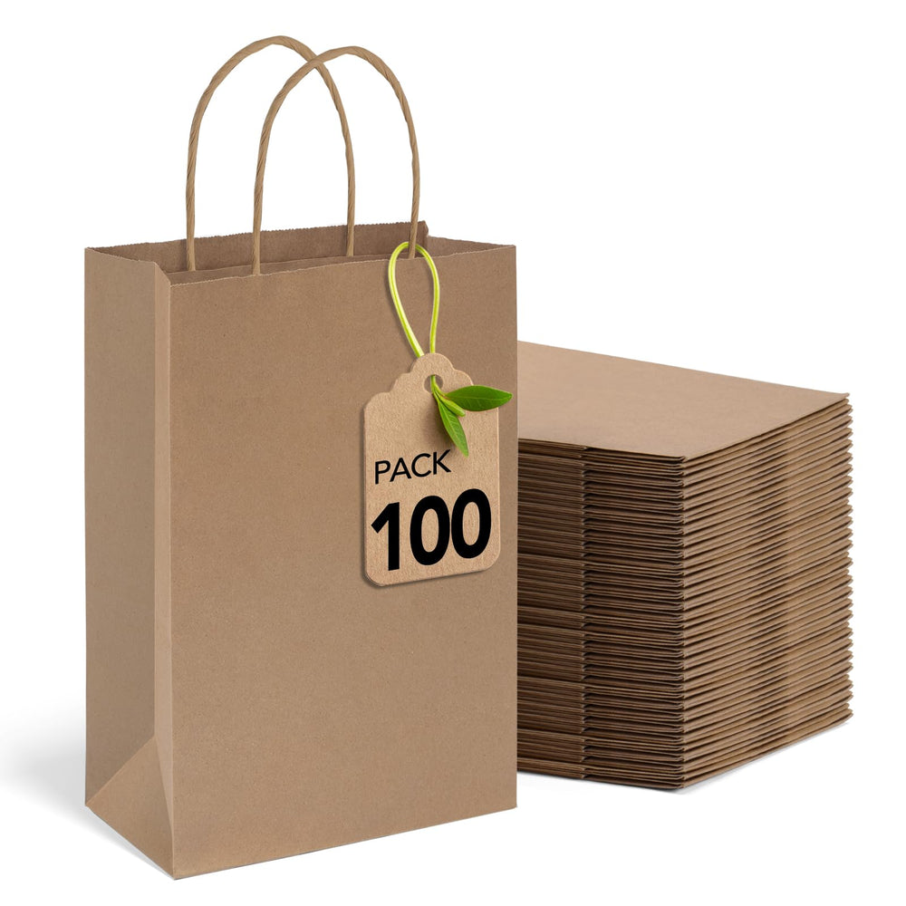 MESHA Brown Paper Bags 8x4.25x10.5 Inch 20Pcs, Paper Bags with Handles, Sturdy Brown Gift Bags for Retail, Birthday Party Favors, Shopping, Small Business (Made in USA)