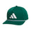 Collegiate Green/White/Dark Blue/2