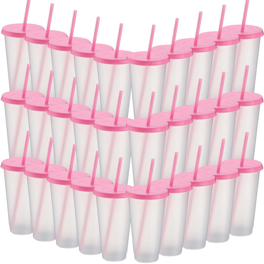 Honeydak 15 Pack Tumbler with Straw and Lid Bulk Cups for Gifts Water Bottle Iced Coffee Travel Mug Cup Reusable Plastic Tumblers for Party Birthdays 24-27 oz (Solid Color)