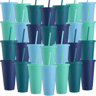 Honeydak 15 Pack Tumbler with Straw and Lid Bulk Cups for Gifts Water Bottle Iced Coffee Travel Mug Cup Reusable Plastic Tumblers for Party Birthdays 24-27 oz (Solid Color)