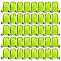 Fluorescent Green