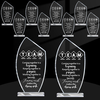Bucherry 10 Pcs Employee Appreciation Awards for Coworker Acrylic Thank You Trophy May You Be Proud of The Work You Do Sign Prizes Retirement Goodbye Farewell Gift for Women Men(Stylish)