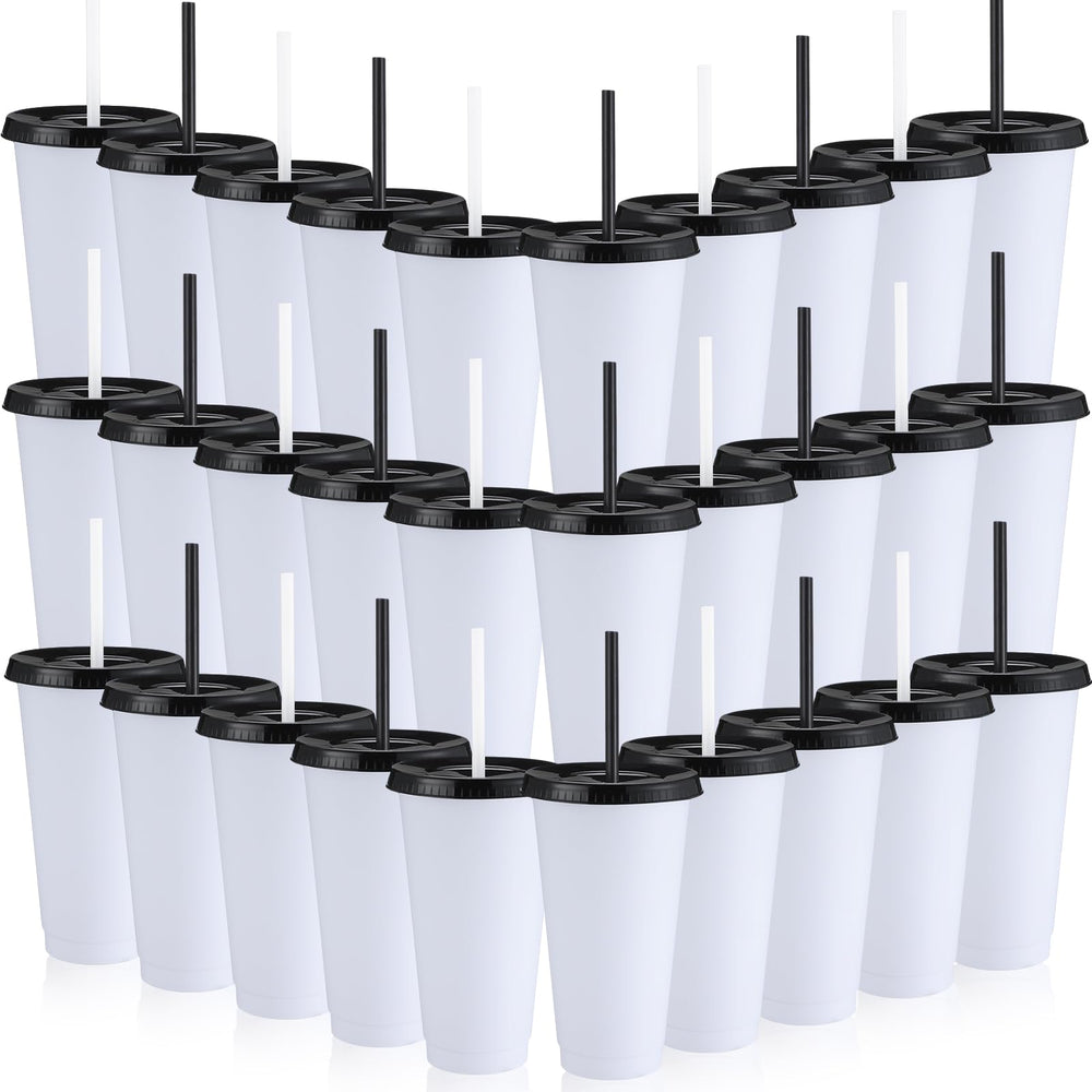 Honeydak 15 Pack Tumbler with Straw and Lid Bulk Cups for Gifts Water Bottle Iced Coffee Travel Mug Cup Reusable Plastic Tumblers for Party Birthdays 24-27 oz (Solid Color)