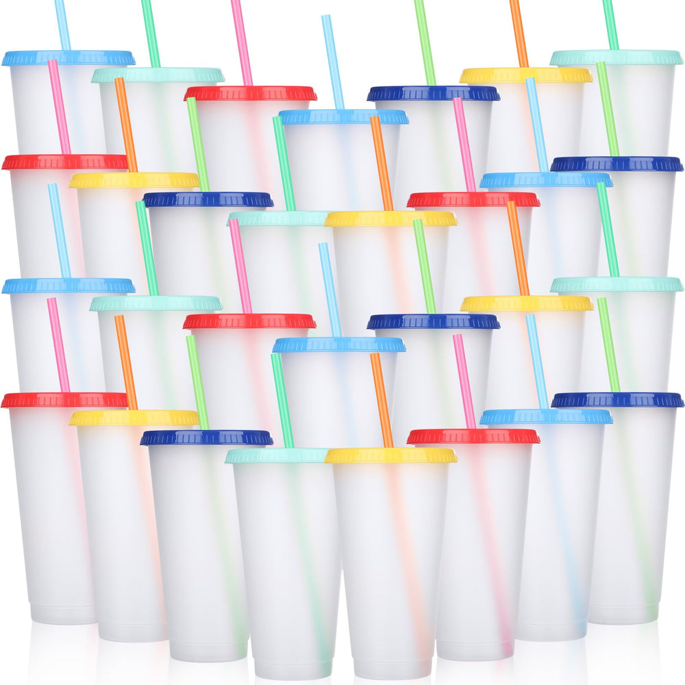 Honeydak 15 Pack Tumbler with Straw and Lid Bulk Cups for Gifts Water Bottle Iced Coffee Travel Mug Cup Reusable Plastic Tumblers for Party Birthdays 24-27 oz (Solid Color)