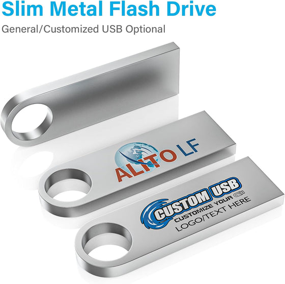 ABLAZE 2GB Flash Drive 2 Pack, Metal USB 2.0 Thumb Drives with Keychains USB Stick Pendrive (Sliver) - hover image