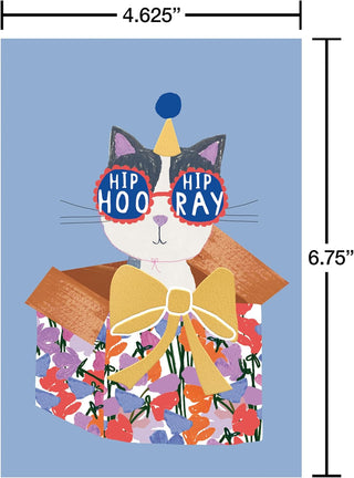 American Greetings 30-Count All Occasions Card Bundle with Keepsake Box and Envelopes- Designed by Stop The Clock