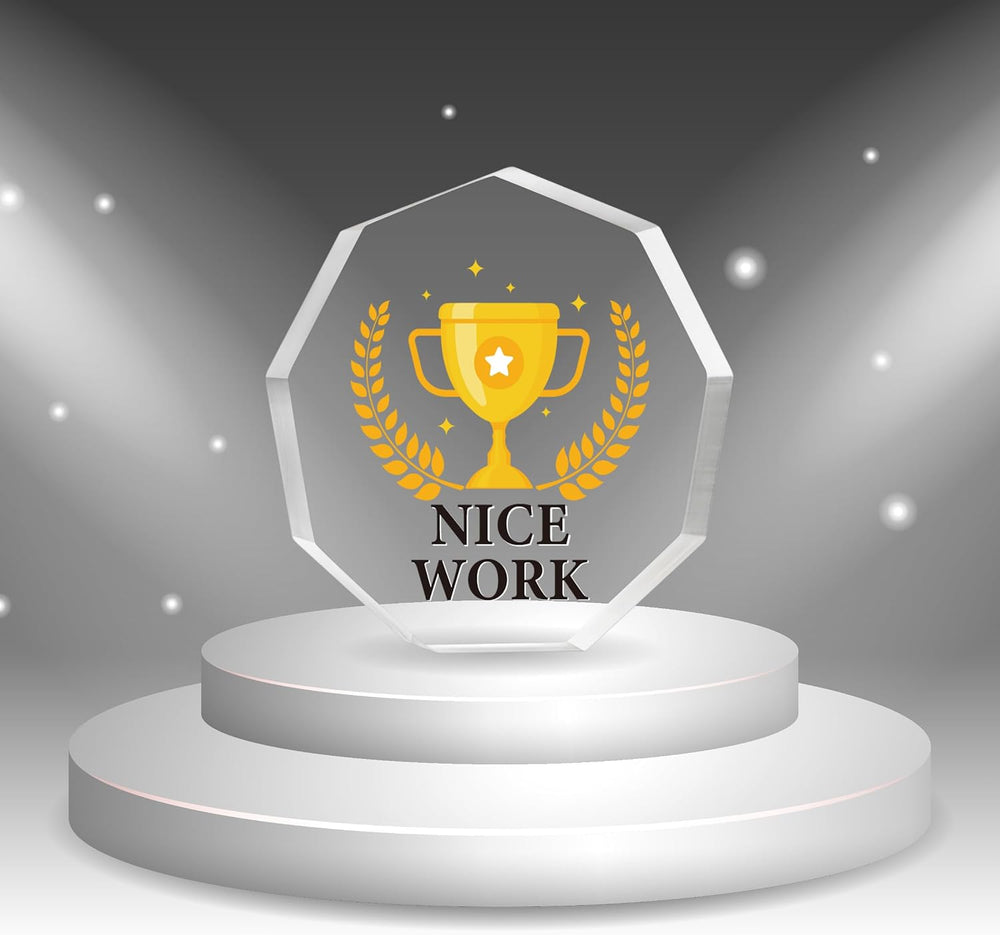 10 Pcs Appreciation Acrylic Award Acrylic Trophies Award Gift Acrylic Thank You Award Gift Awards Sports Rewards for Adults and Kids Employee Party Office Classroom Decorations