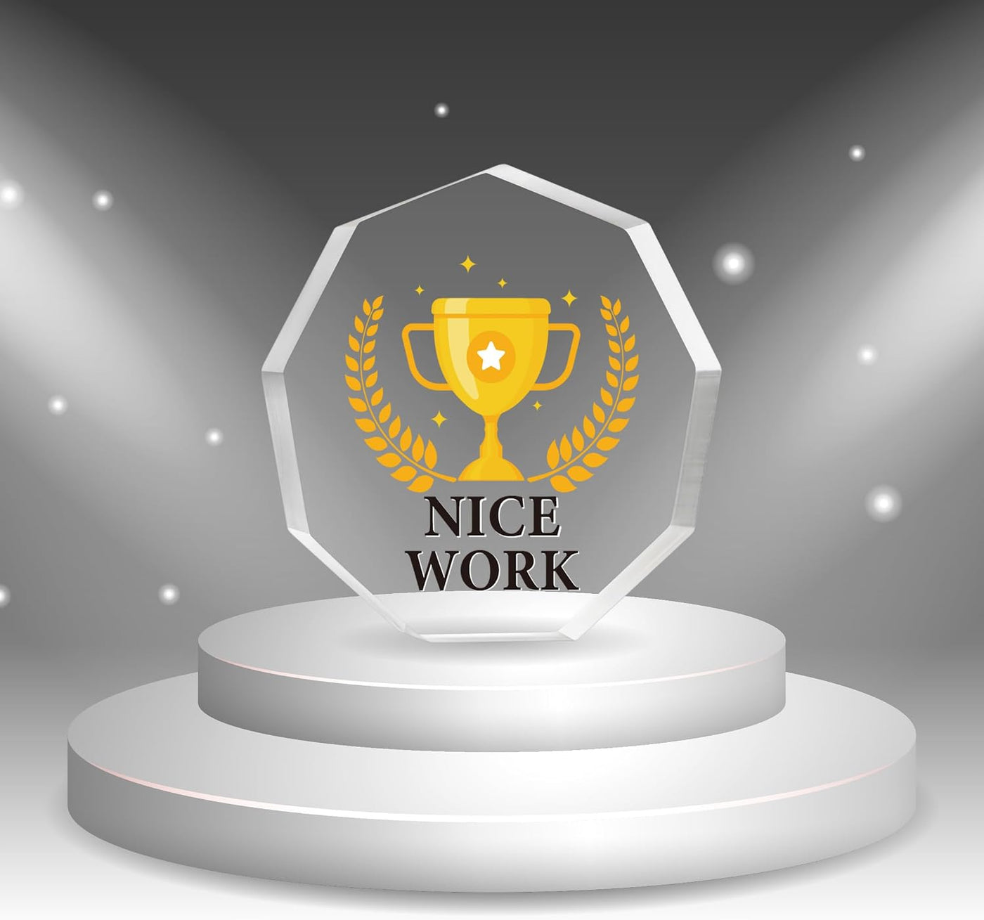 10 Pcs Appreciation Acrylic Award Acrylic Trophies Award Gift Acrylic Thank You Award Gift Awards Sports Rewards for Adults and Kids Employee Party Office Classroom Decorations