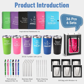 6 Set/36 Pcs Teacher Employee Appreciation Gifts Bulk - 20 Oz Insulated Tumblers, Steel Straw & Cleaner, Gift Bag, Inspirational Notebook, Motivational Pen - Thank You Gift for Coworker, Nurses