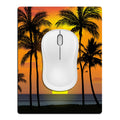 Summer Tropical Beach