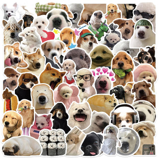 Cat Meme Stickers, Funny Cat Stickers for Journaling Adults Kawaii,Cute Waterproof Vinyl Sticker for Water Bottles Laptops 50Pcs