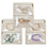 Inner Pages,Beige,3 PCS